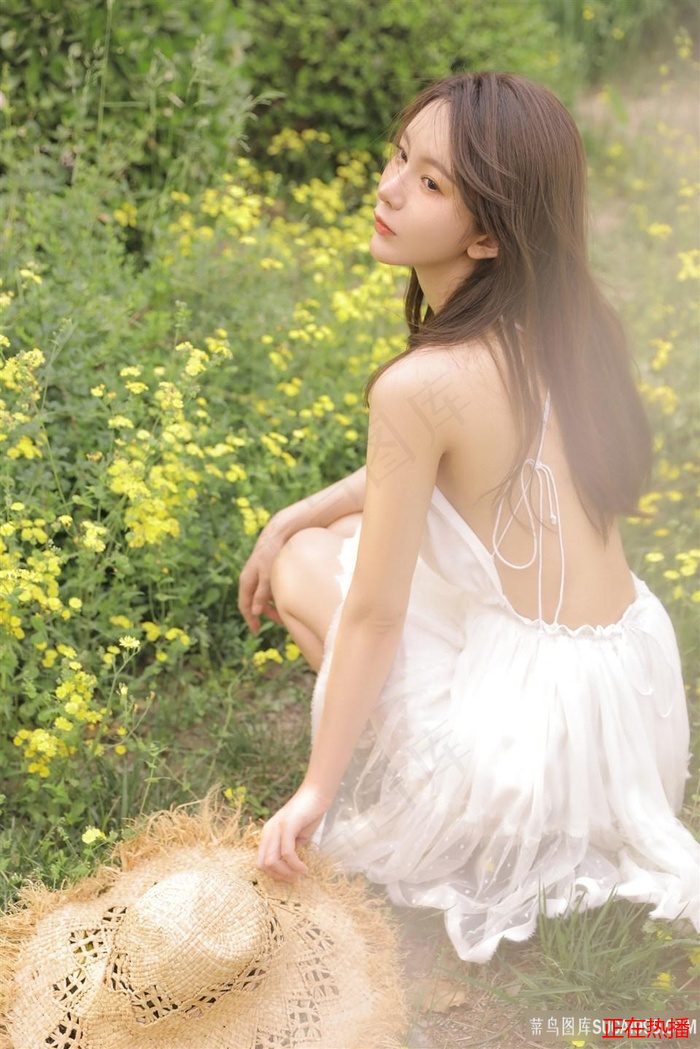 金瓶海之婬乱天在线观看